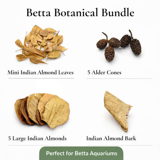 Betta Botanical Bundle – Natural Botanicals for Betta Aquariums