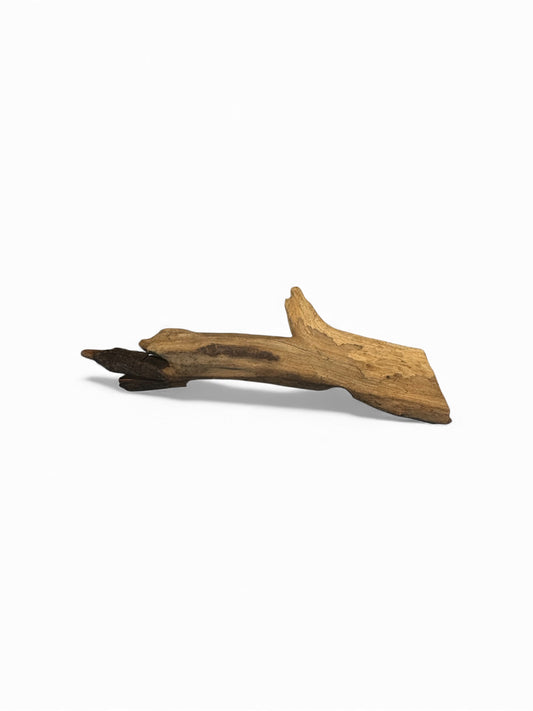 Coral Wood Driftwood 2 Pieces— Small