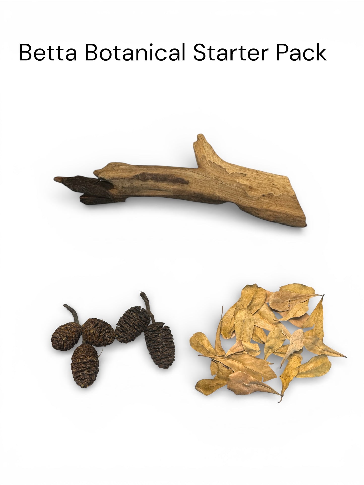 Betta Botanical Starter Pack on a white background with one ~5” coral wood piece, 5 alder cones, and 15 mini almond leaves.