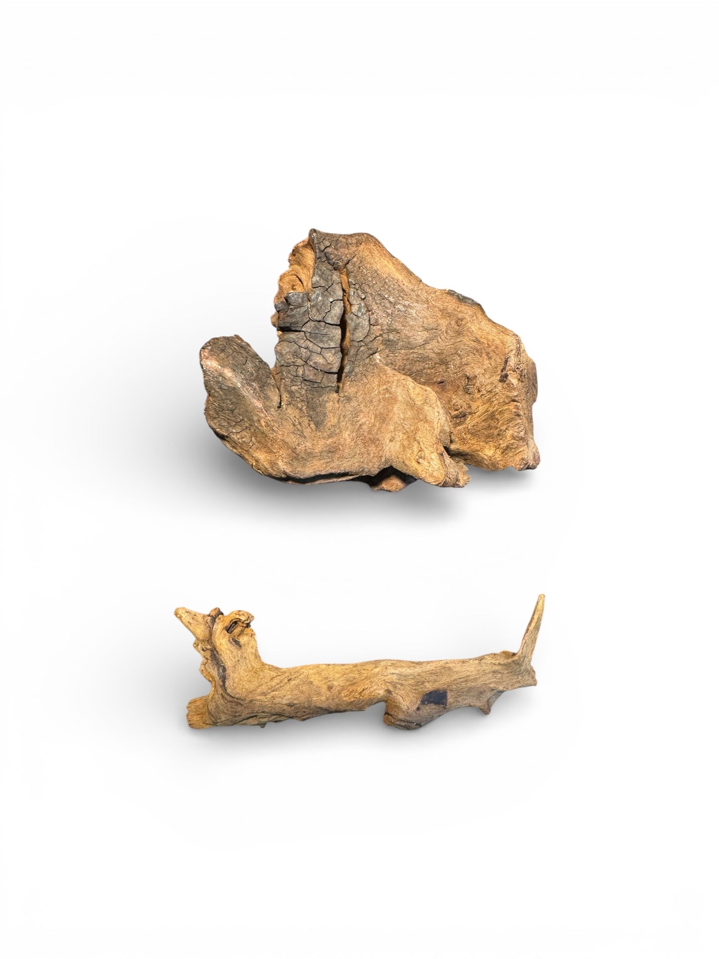 Coral Wood Driftwood 2 Pieces— Small