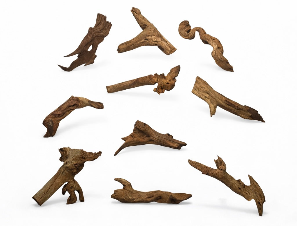Coral Wood Driftwood 2 Pieces— Small