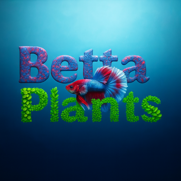 Betta Plants