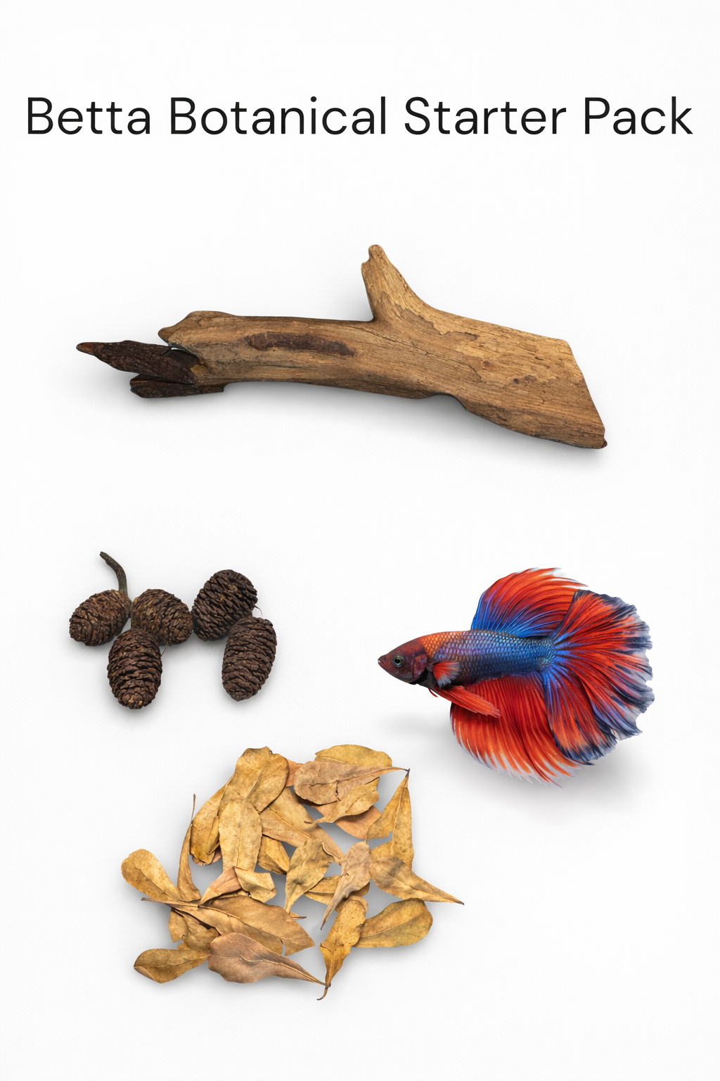 Betta Botanical Starter Pack: 15 mini almond leaves, 5 alder cones, and a ~5” coral wood piece. Add natural tannins, cover, and blackwater vibes for betta and nano tanks.