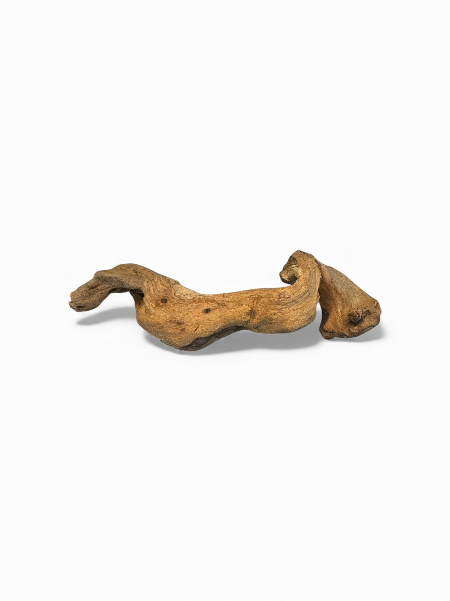Coral Wood Driftwood 2 Pieces— Small