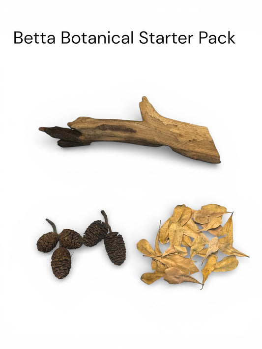 Betta Botanical Starter Pack on a white background with one ~5” coral wood piece, 5 alder cones, and 15 mini almond leaves.
