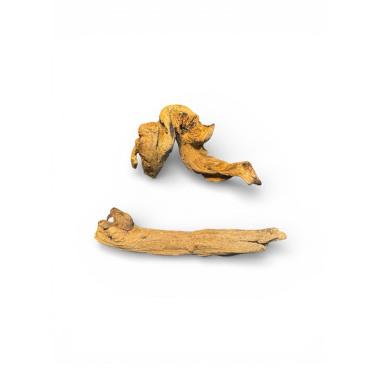 Coral Wood Driftwood 2 Pieces— Small